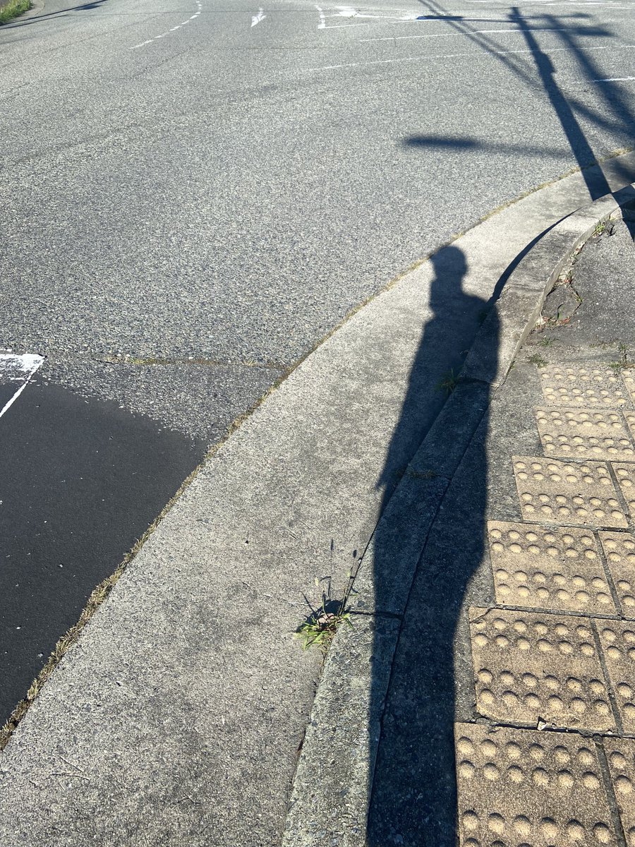 kaniiiitama's tweet photo. 30分ほど散歩してきたよ https://t.co/TBSlq8tz37