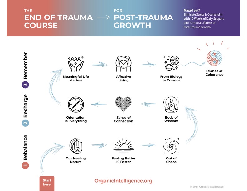 In the End of Trauma Course we’ll practice specifically sequenced tools and workarounds for the What’s Wrong Attention (WWA), the negativity bias, and the Status Quo Attractor (SQA). All reinforcers that (wrongly) say, “the way to feel better is by feeling worse first”