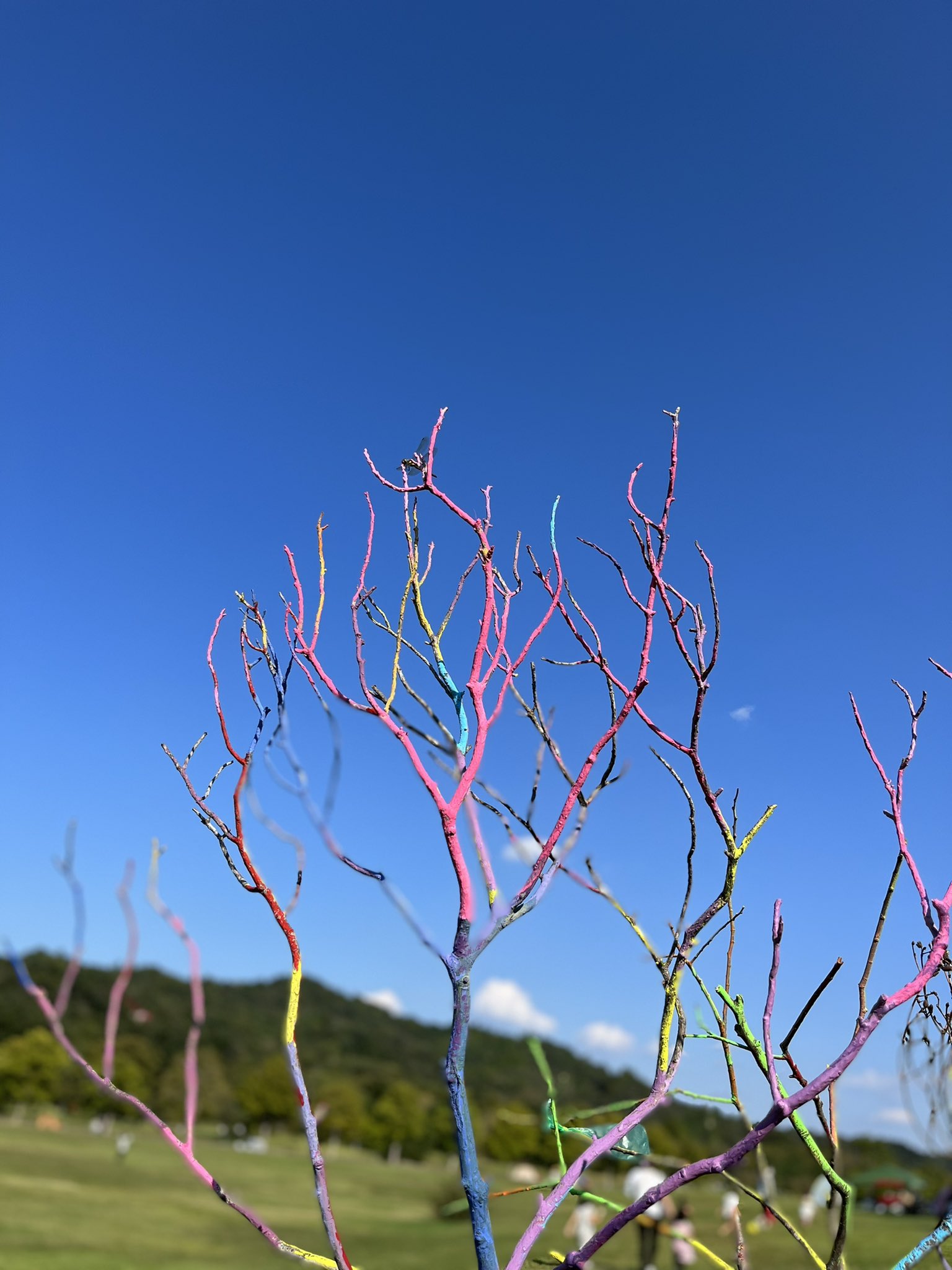 滋賀県希望が丘文化公園 (shiga_kiboupark) / Twitter