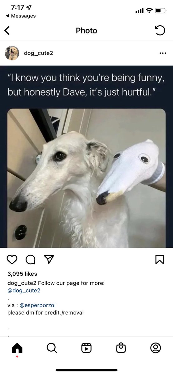 Chrissy Papageorge tweet media