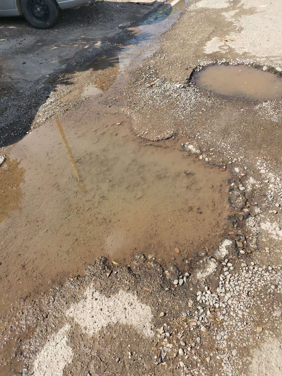 #TelevisaApesta ~🇲🇽💚 tweet media