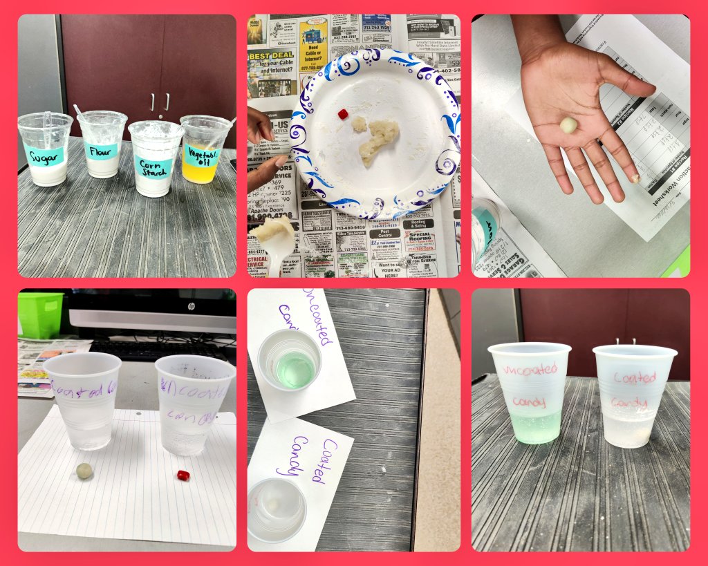 Dorothy James, M.Ed. tweet media