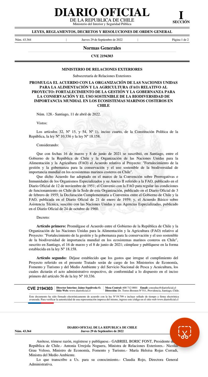 TrianaVOXX's tweet photo. #URGENTE Chile entrega soberanía de todo el Océano Pacífico chileno a la ONU y todos en silencio, nadie dice nada 🤔 #MerluzoAlPeo #BoricVerguenzaInternacional 
👇👇👇👇 https://t.co/DimVESGx4H