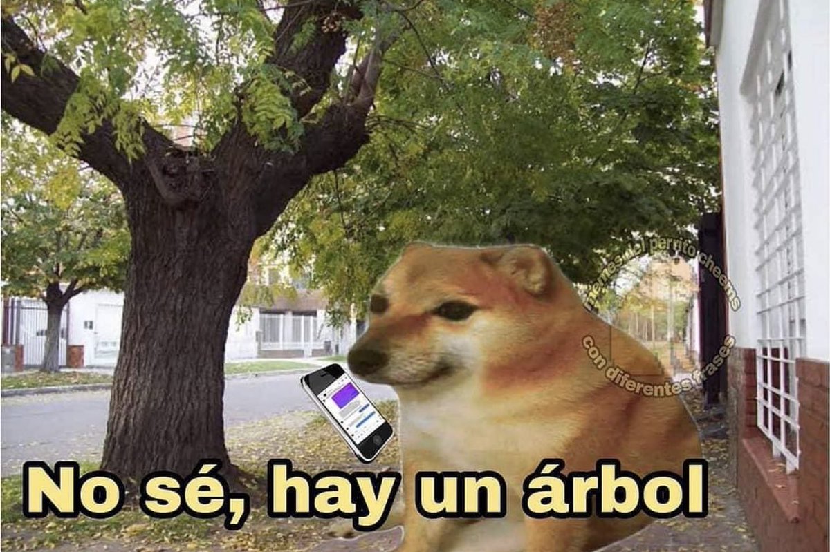 Guarromantico_'s tweet photo. Hay gente que se sabe ubicar bien con calles, numeración y todo. 

Cundo me preguntan a mi: ¿Dónde estás? https://t.co/2vJzadnfdE
