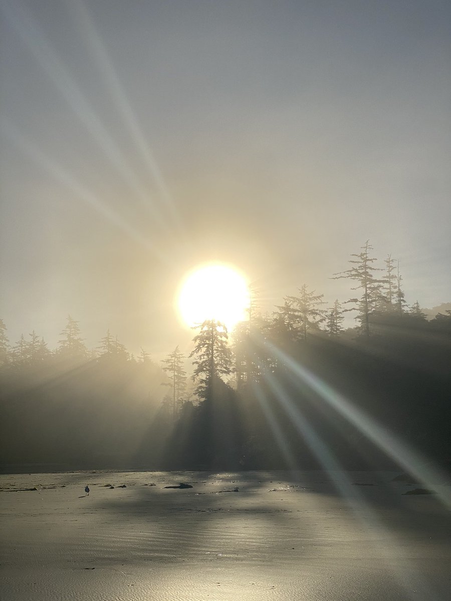 Foggy sunrise at Cox Bay #bcisbeautiful