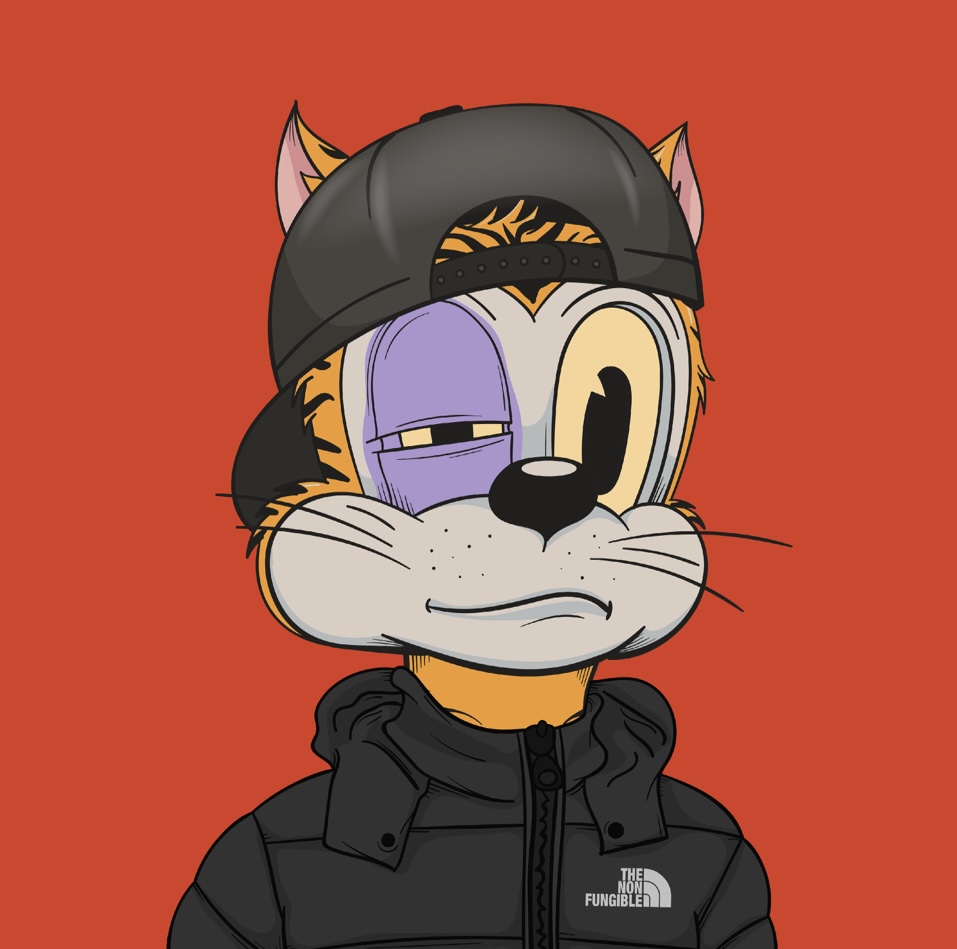 Koldspell's tweet photo. @GokhanSnapback @DegenToonz #snapbackcrew #TOONZ https://t.co/WuTdTlpNDz