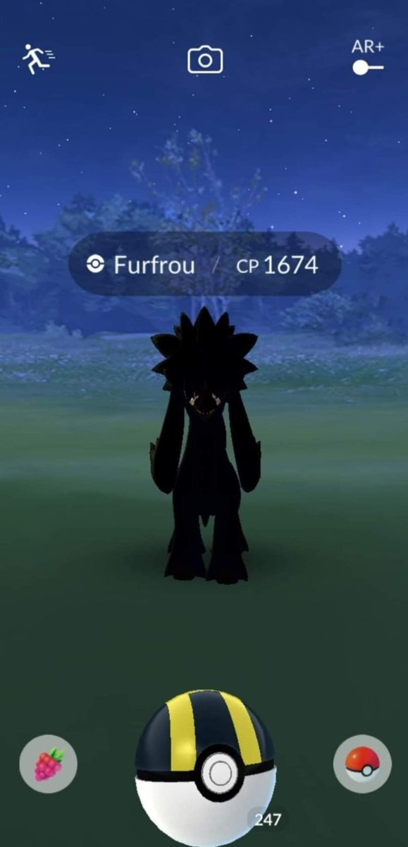 ProPlanty's tweet image. definitely retweet this for shiny furfrou luck #pokemonGO
