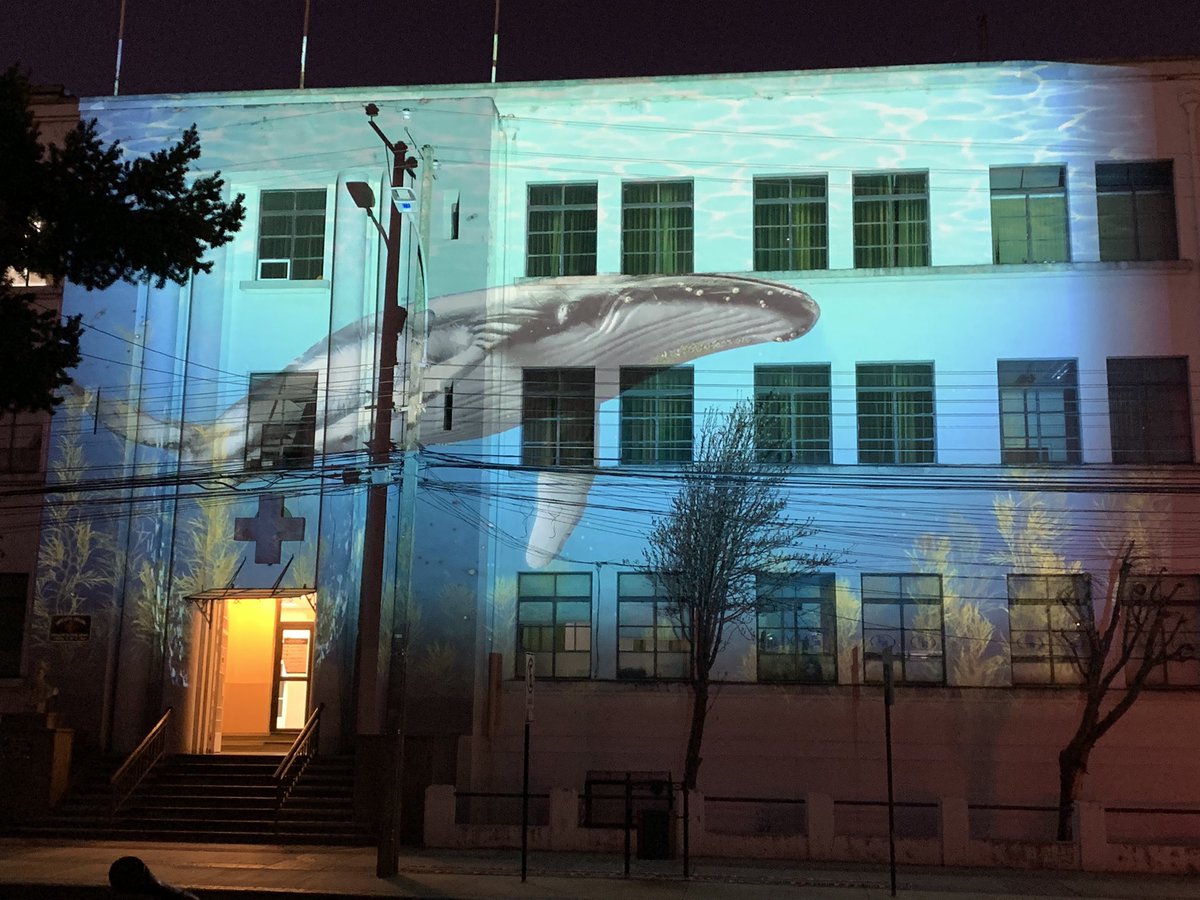 spereztito's tweet photo. Obra video mapping Confabulación Cetácea en #PuntaArenas #puq #delightlab #AHORA https://t.co/cfgBqPqEIl