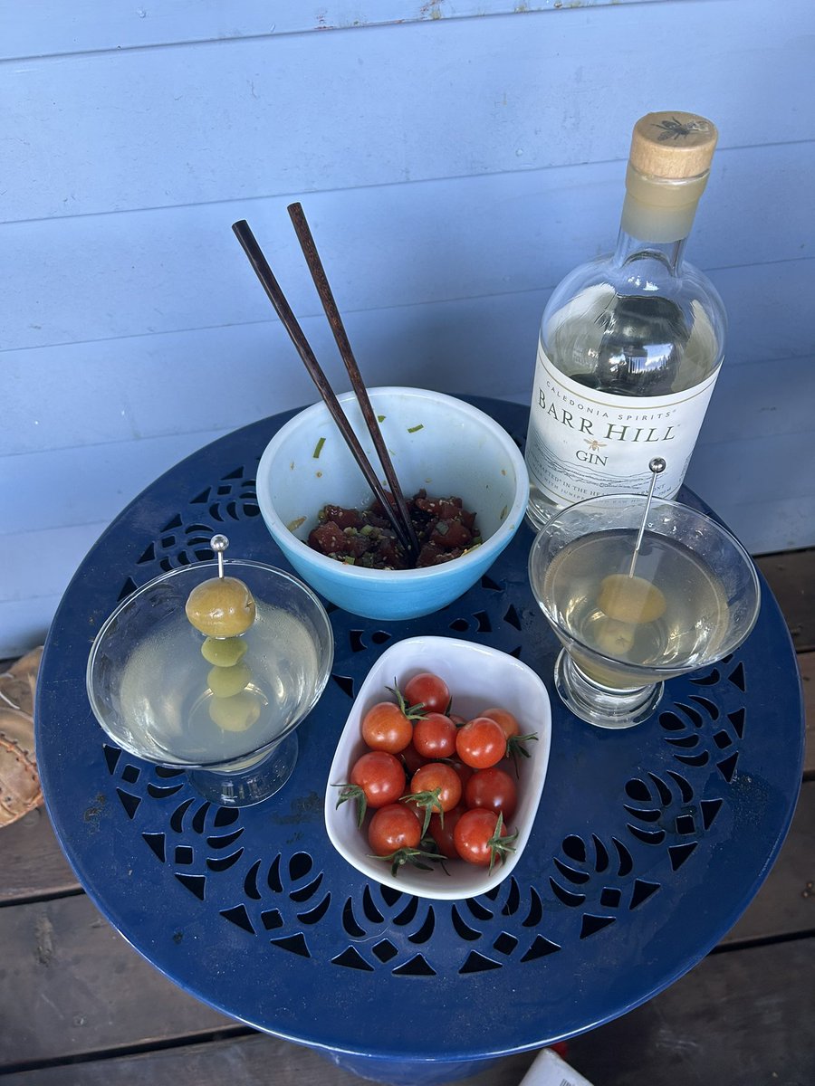 runningtrailsCO's tweet photo. @BarrHillGin @ankor_wat Sitting on the front porch with Ruben in Lakewood, CO thinking about my home state of Vermont. Enjoying cherry tomatoes fresh from the garden, homemade poké and Barr Hill martinis. #beeskneesweek https://t.co/O5Sycx0bQy