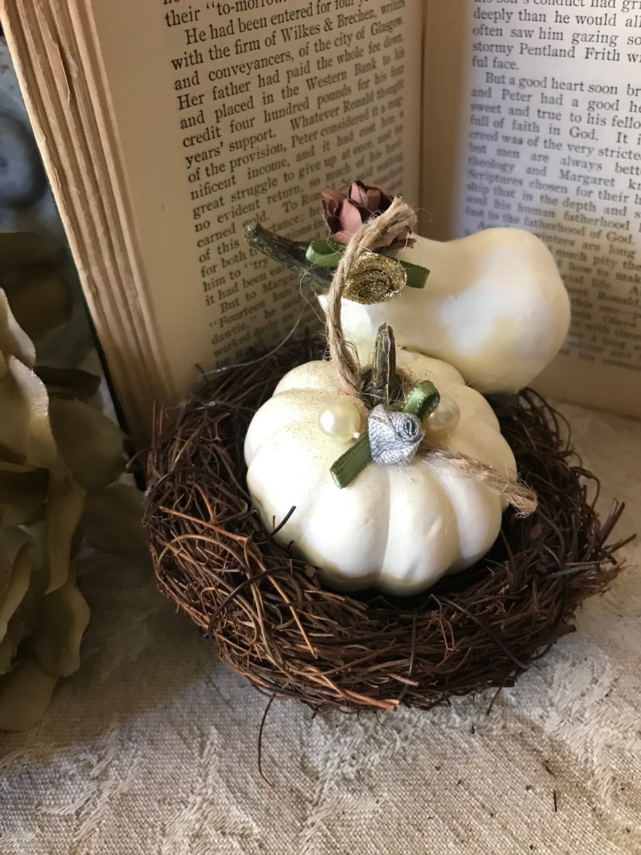 Excited to share the latest addition to my #etsy shop: White pumpkins, 2 in straw, cute, shabby chic, victorian, 0216 etsy.me/3y7KGIz #whitepumpkins #2instraw #cute #shabbychic #victorian #toobusyladies