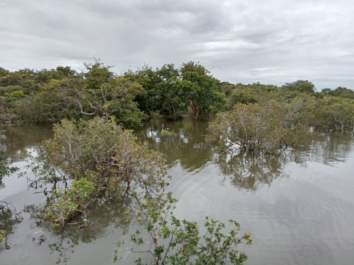 Luke Loken tweet media