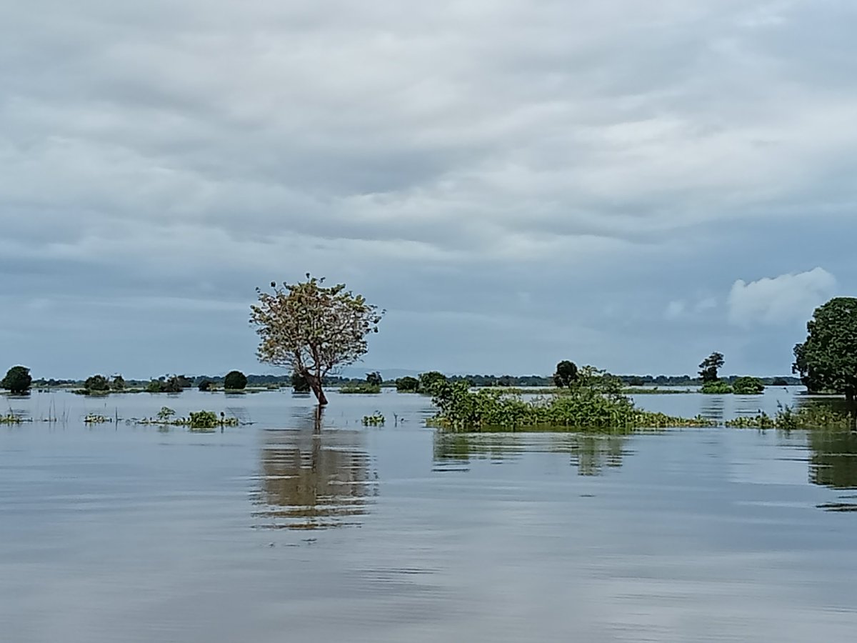 Luke Loken tweet media