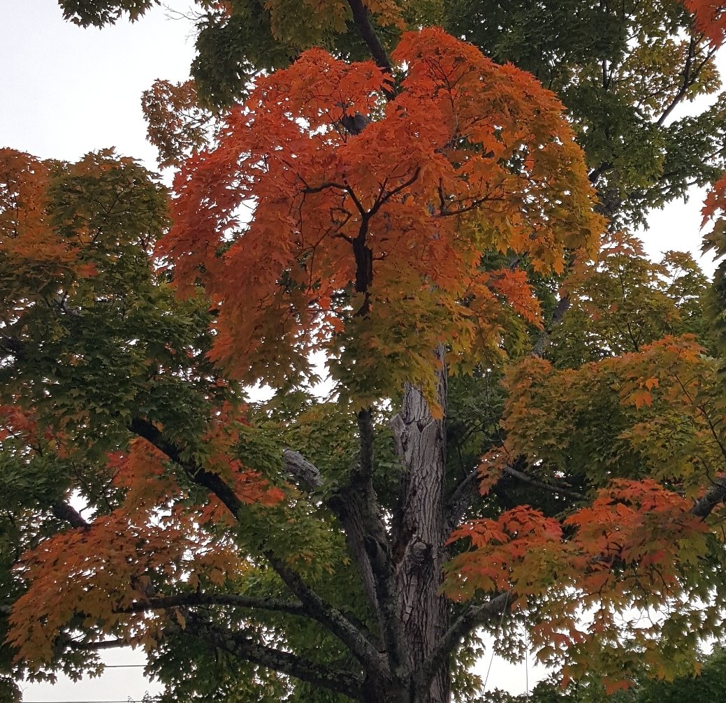 Anne Ashley tweet media