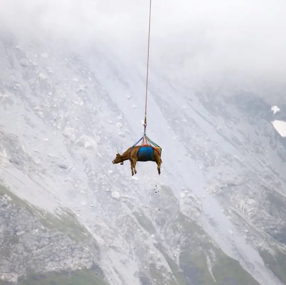 clairevo's tweet image. That one OKR being carried over quarter to quarter.