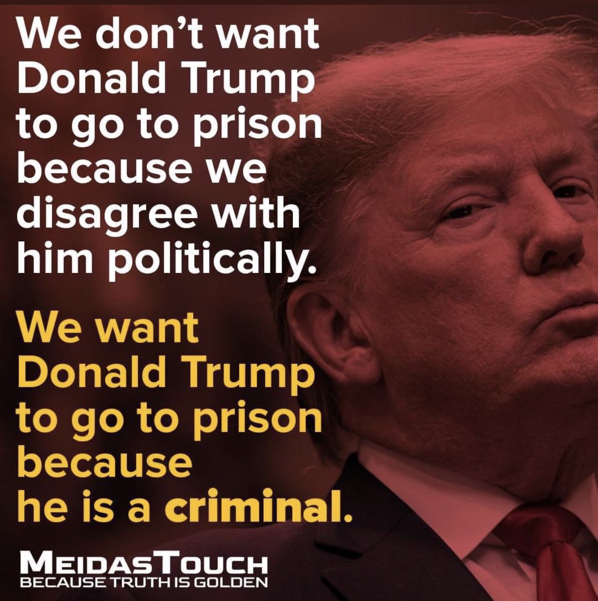 @hierophantess @Acyn I want Trump to go to prison because he’s a fucken criminal!! #TrumpRally