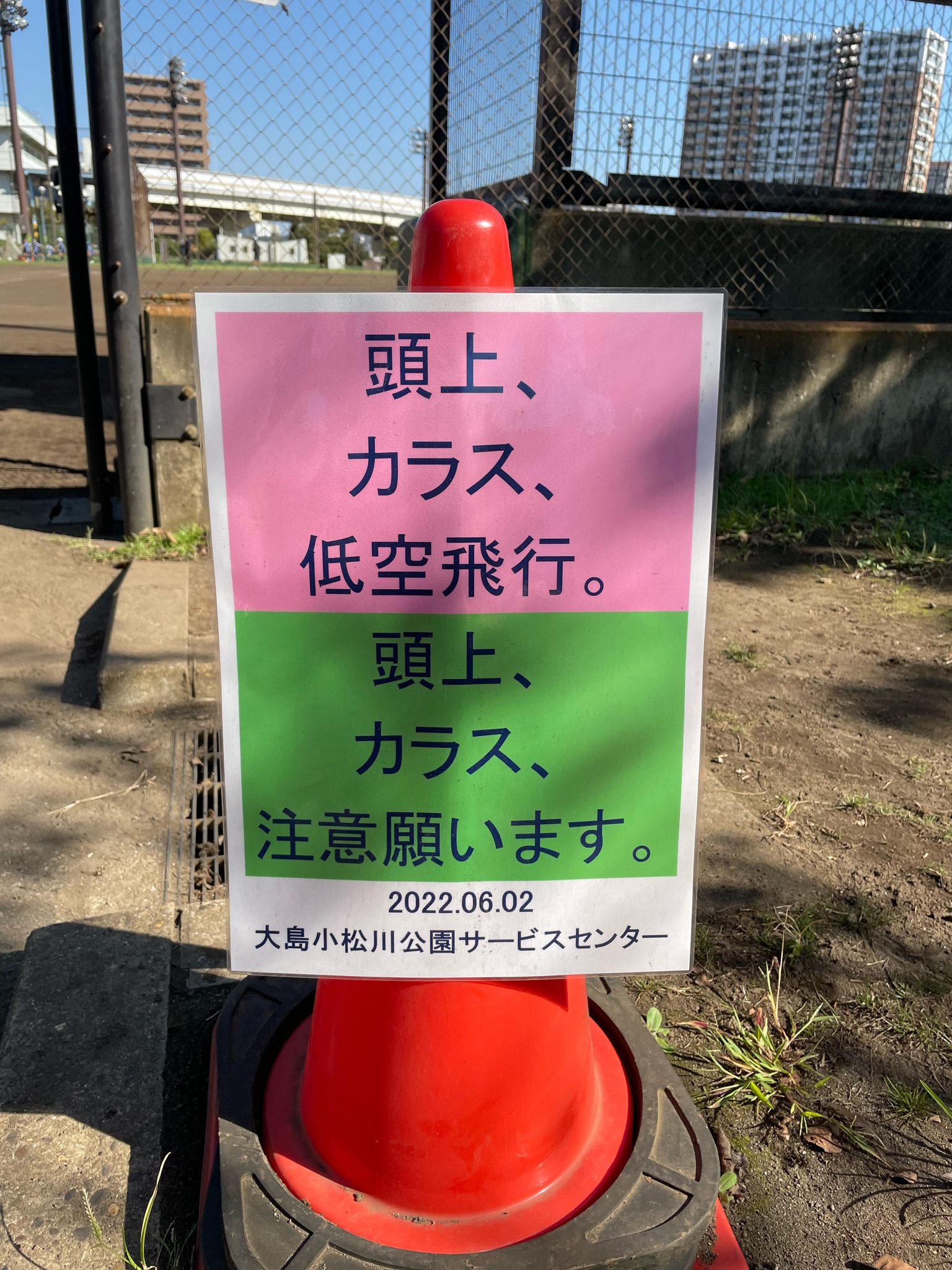 酒井ミキオ Raintreemikio Twitter