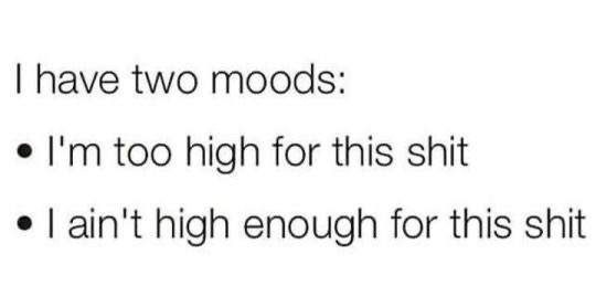 enlightenedcare's tweet photo. LOL we hope you are having a wonderful weekend!

We are open 10am-7pm Monday-Sunday!

Strain of the day: " Mob Boss "
~ Heavy indicaaa perfect for when you finally get to put your feet up after a long day. 

[: https://t.co/86LHzhUhHH