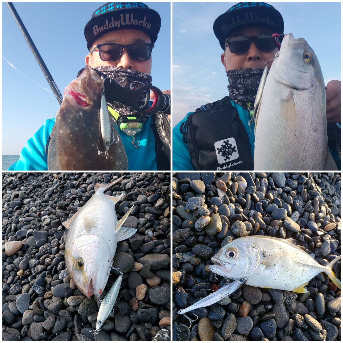 enshusurfflat's tweet photo. 10月初サーフ🎣
ヒラメ(ソゲ)、ショゴ、メッキと楽しめました🎶
#BuddyWorks
#DoubleCannonStriker
#OFFBAIT
#ShallowStar
#遠州灘サーフ https://t.co/sQehwdbzWK