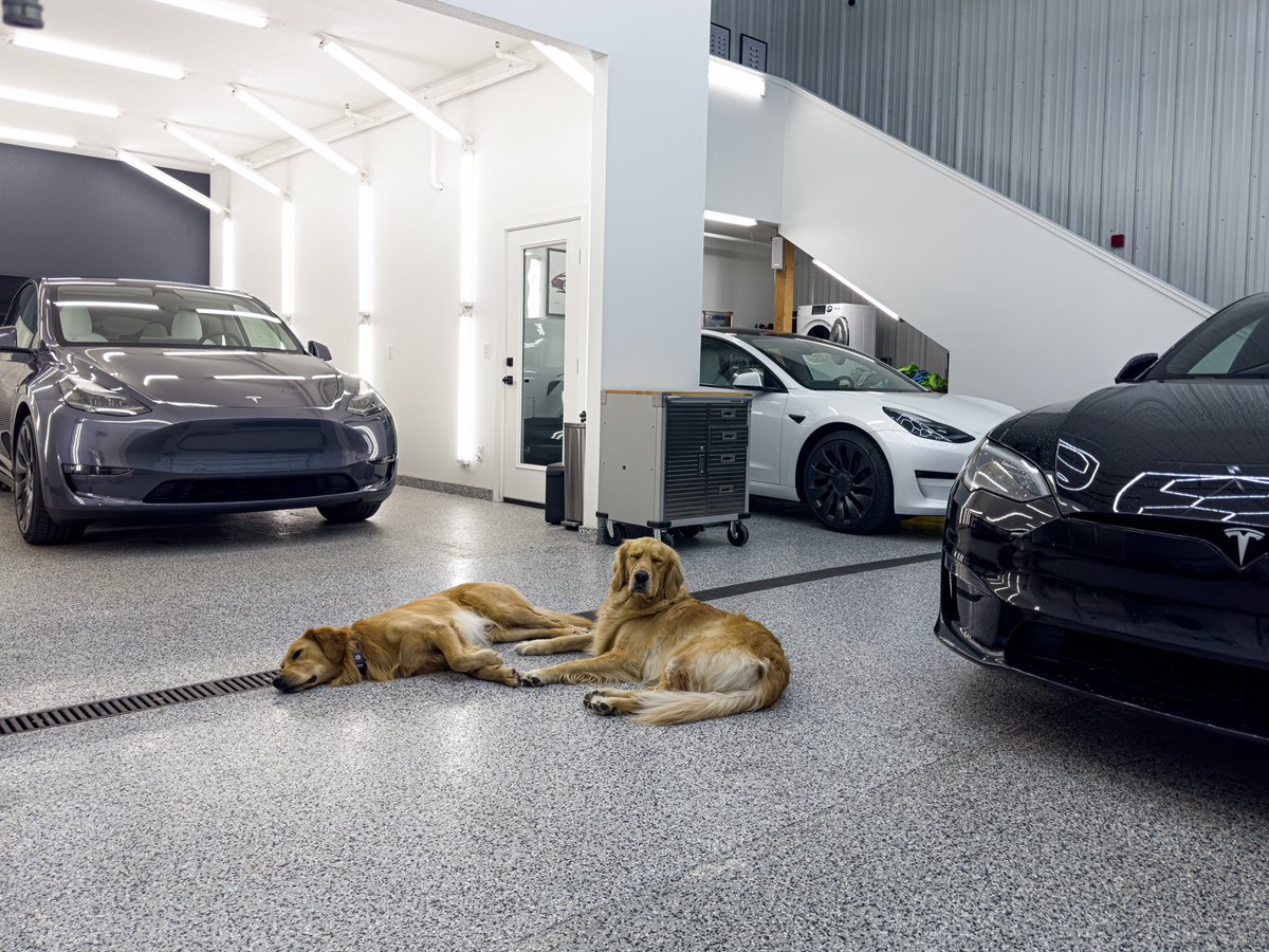 OutofSpecDetail's tweet image. Full shop of @Tesla’s and shop doggos! #model3 #modely #models #modelsplaid