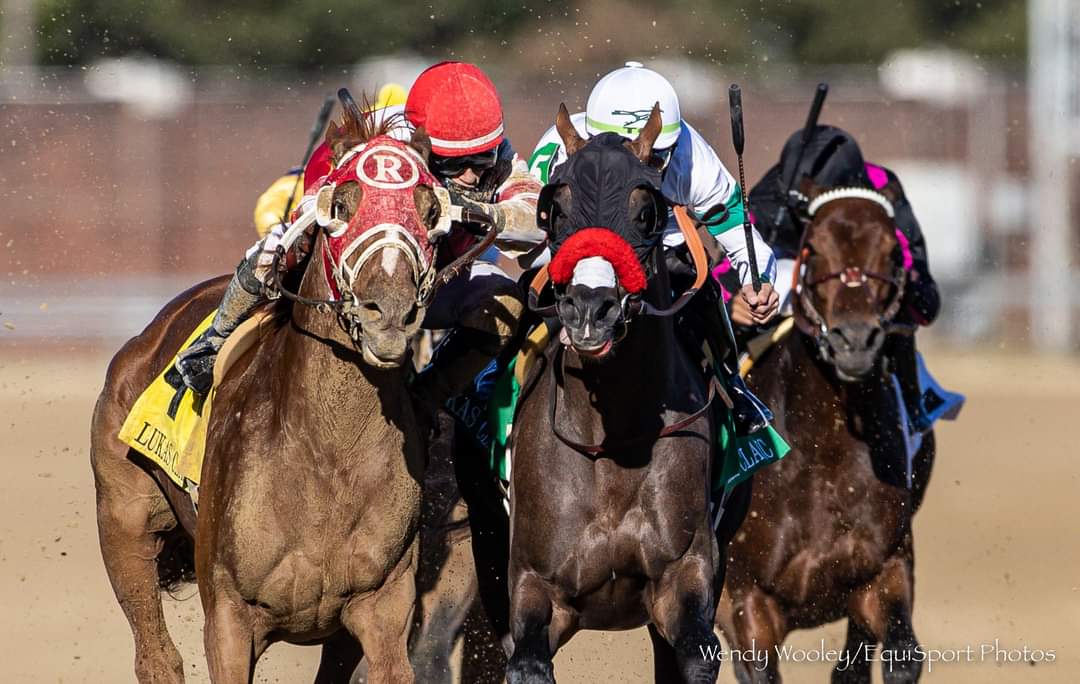 José L. Verenzuela tweet media