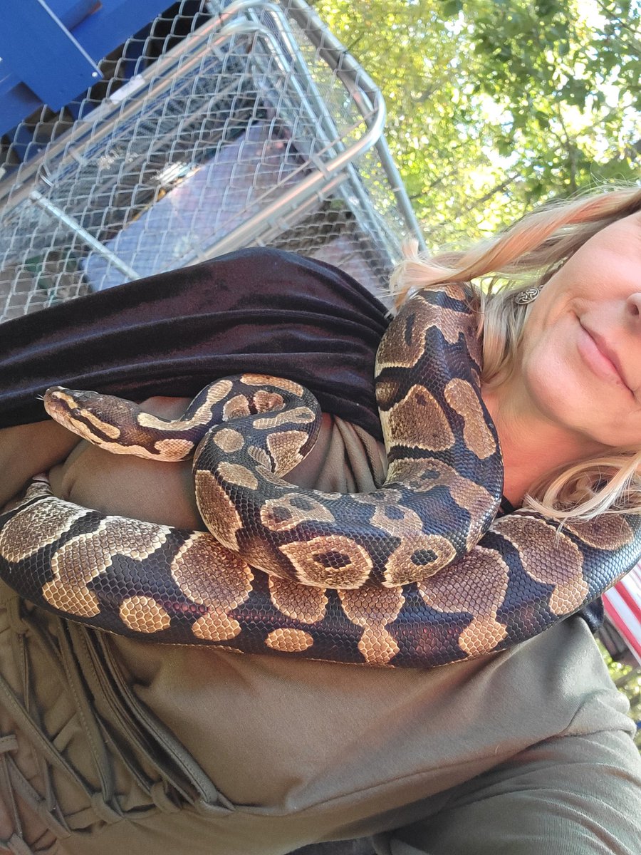 maryhotpants13's tweet photo. It was a beautiful day at #stlrenfest
#stllove https://t.co/22GqPc7zeu