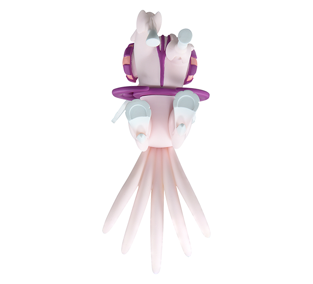skyandstarstore's tweet photo. #pokemon #takaratomy #moncolle #pokemonfigure #actionfigure #nintendo #pokemongo #pokemonlegendsarceus #palkia #originform https://t.co/CdHPHFlkTk