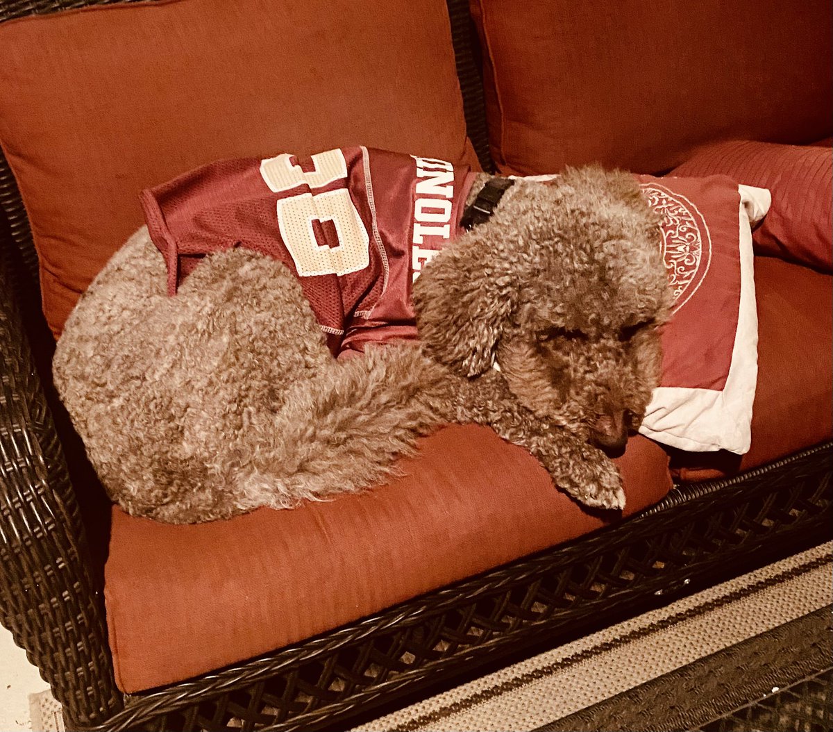 Exhausted from cheering on our Noles 🎉🏈💕. We will shake it off and show up for business next week!!