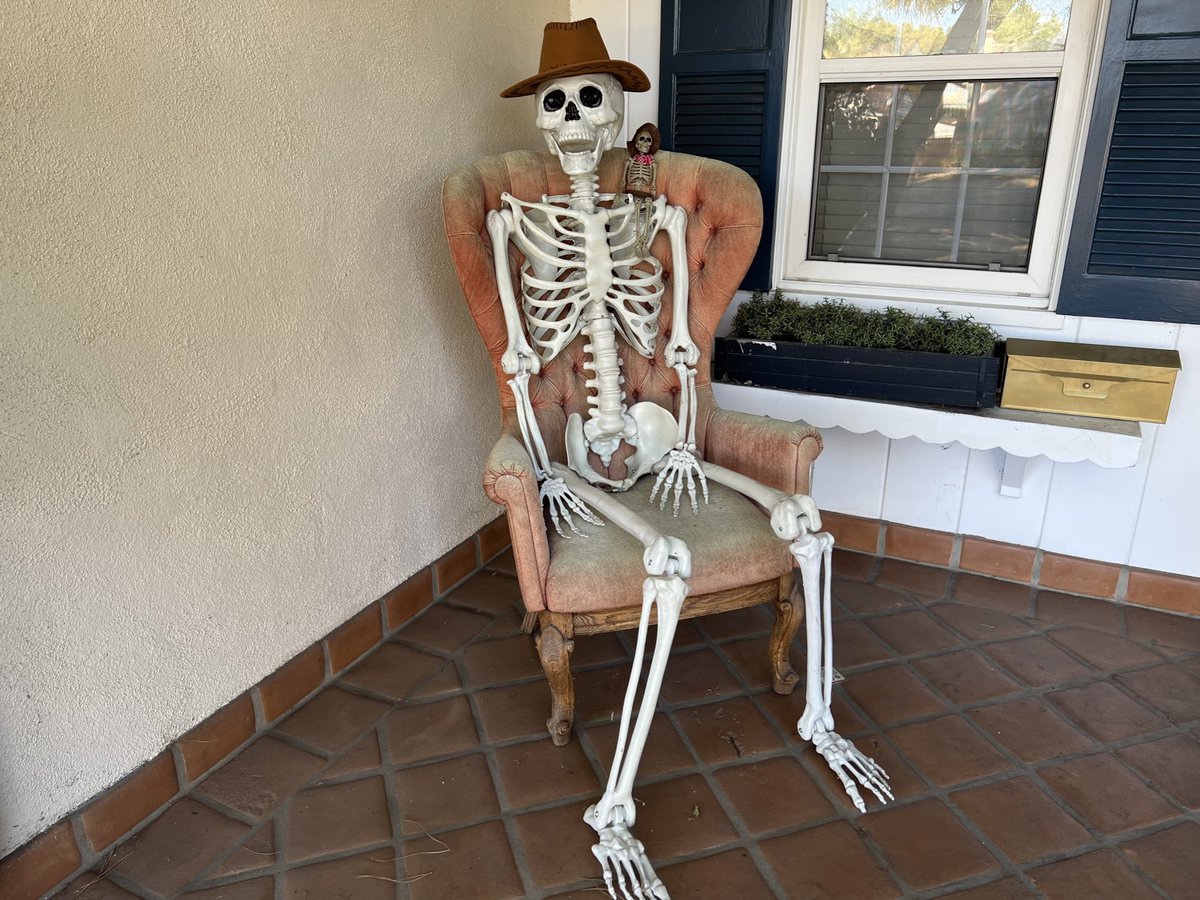 Garrett_Watts's tweet photo. I love October so much because it’s the one month where my neighbors don’t judge my normal year-around decor. They just think it’s for Halloween or something. https://t.co/ToSC3l9CuM