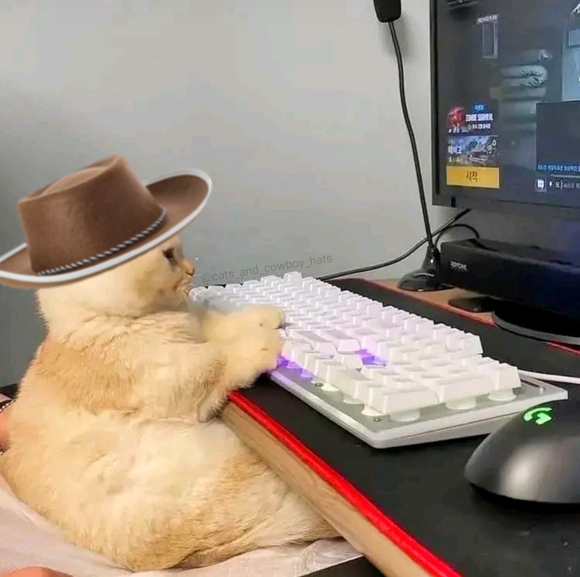 MangoPull on Twitter: "GUYS DREAM SHOWED ME HIS FACE!!! #