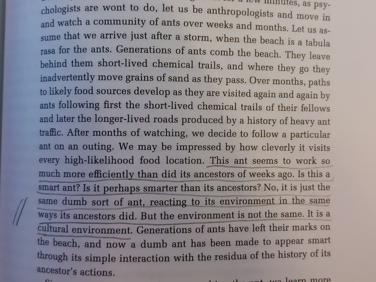 Will O'Hanley tweet media