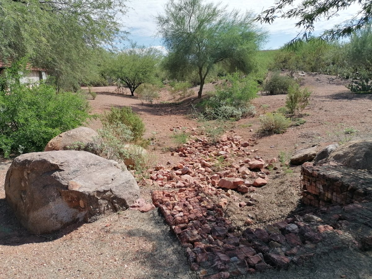 DrGreenRoof's tweet photo. Presented on the @NuffieldFarming scheme, my career to date and some thoughts on UK water management @ArizonaState for Prof Olcay Unver. Some great desert style SuDS across campus. I'm a big fan of the exposed substrate in places. #Nuffield22 https://t.co/vvnKuOgymj