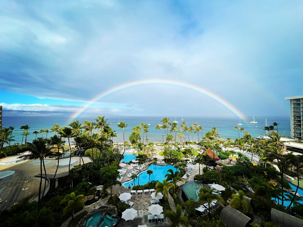 Tropical islands as vacation destinations are beautiful and all, but have one fatal design flaw: humidity. Omg how do people live like this? Nothing is ever dry. NOTHING…EVER…DRY!