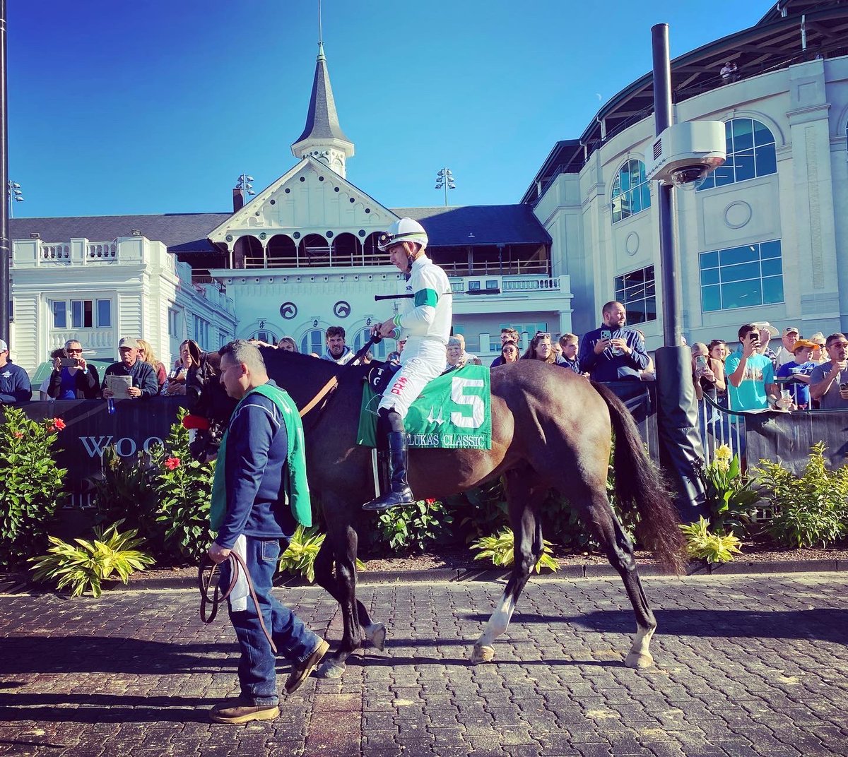 Seaneff's tweet photo. What a horse! #HotRodCharlie #FeldFamilyFind https://t.co/tddZZm7VlH