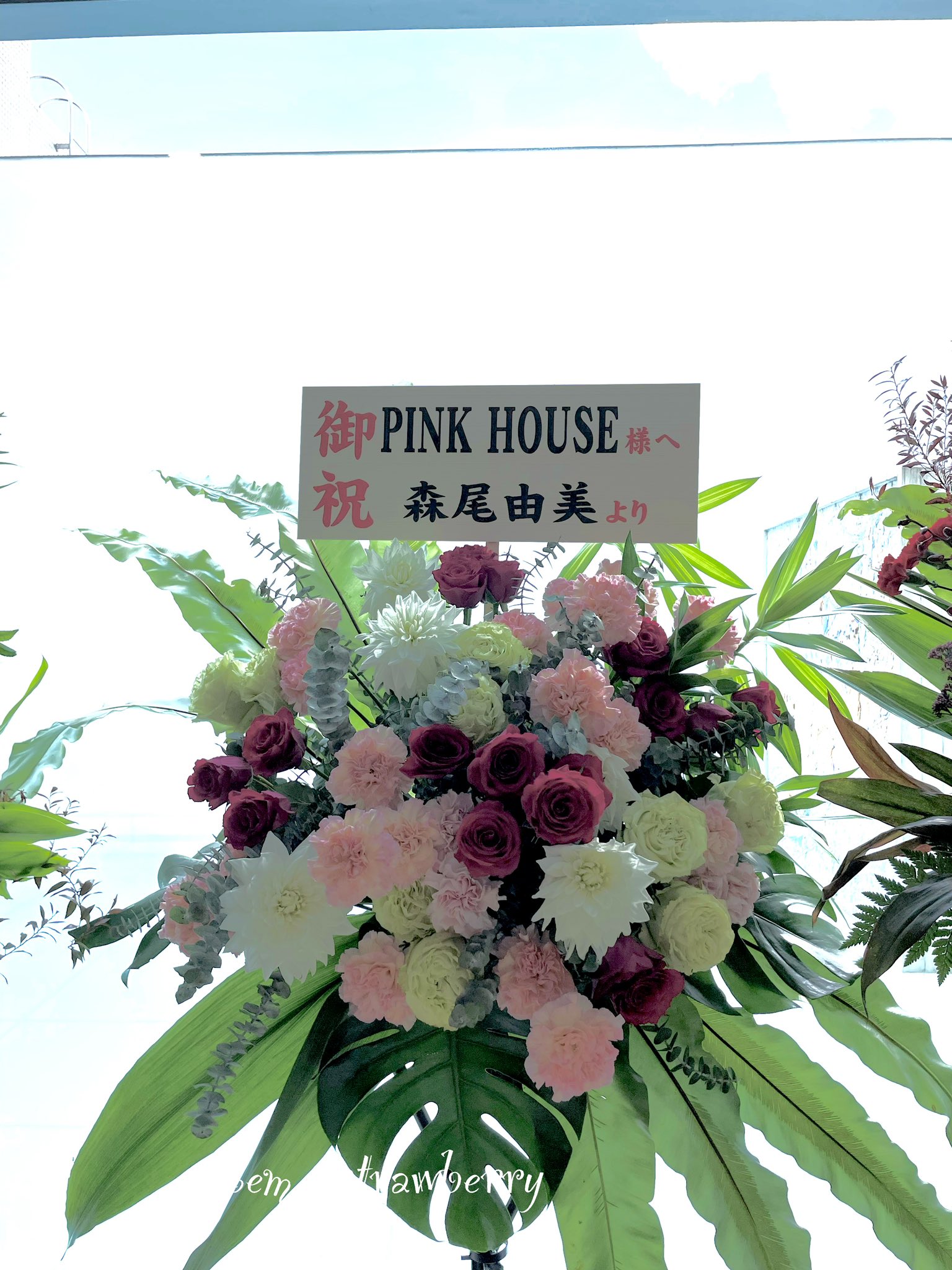 ぽえむ･*｡ on Twitter: "フジテレビ系列「はやく起きた朝は…」#森尾由美ちゃん #ピンクハウス @pinkhouse_staff