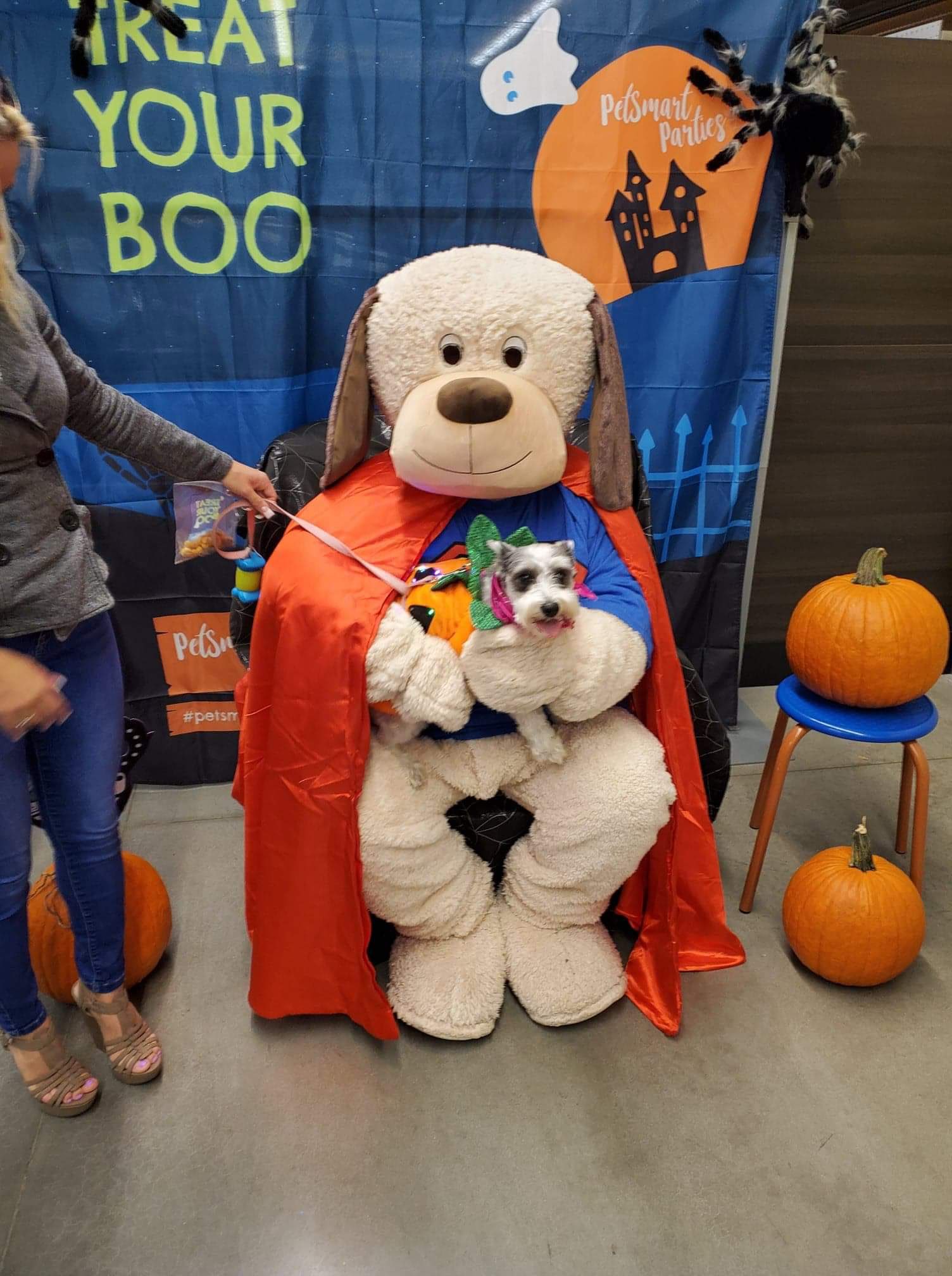 Aspen Romanoff on Twitter "Hollering dog https //t.co/LSyYUMSvpB