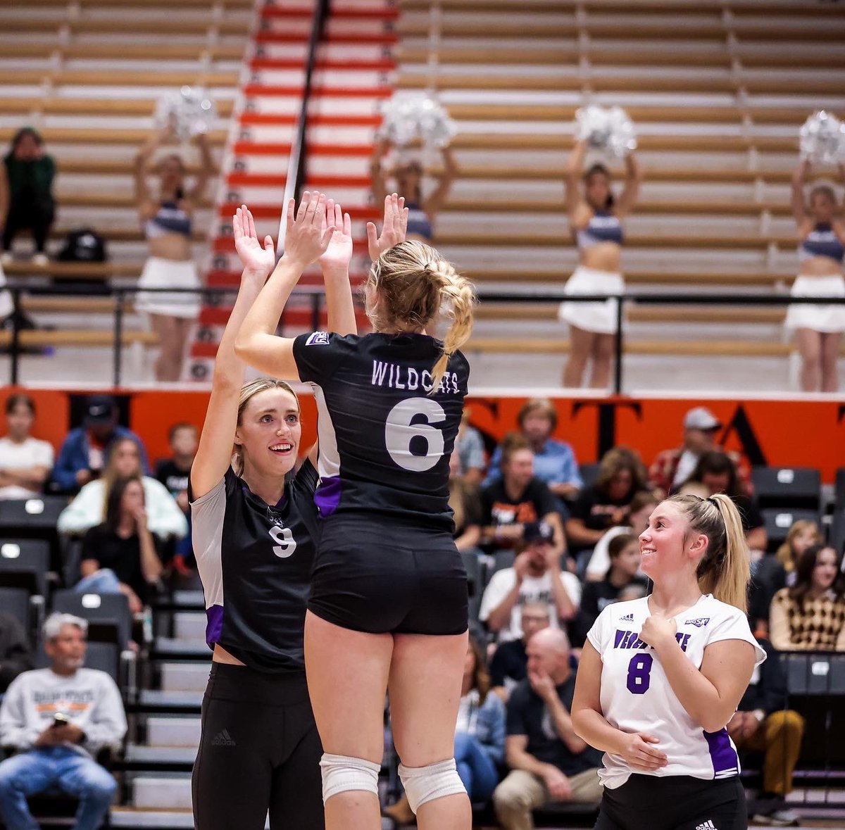 Weber State Volleyball tweet media