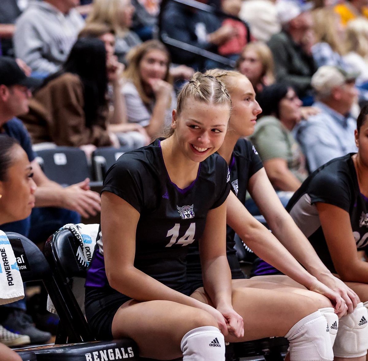 Weber State Volleyball tweet media