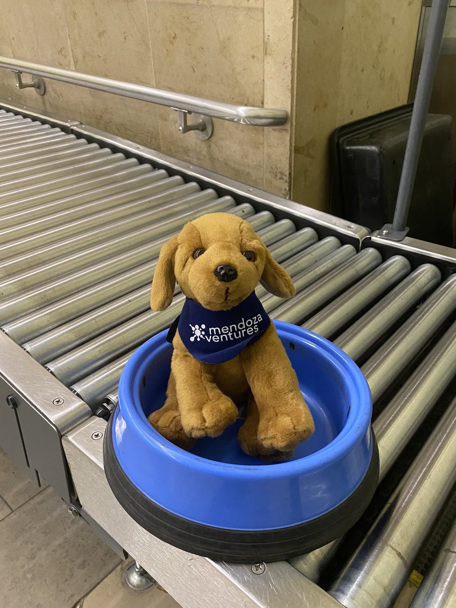 Hey <a href="/AlaskaAir/">Alaska Airlines</a> is it me or does this look like a dog bowl. Just asking for the <a href="/TSA/">TSA</a> #Airport
