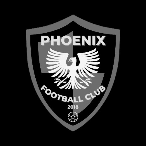 Phoenix FC tweet media