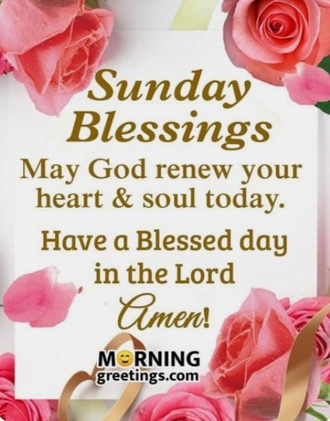 garciatuazon's tweet photo. Happy Sunday https://t.co/iH9N76Lryj