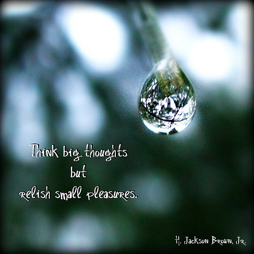 BryantCPA's tweet photo. Think big thoughts but relish small pleasures. #SaturdayThoughts #SaturdayMotivation #WeekendWisdom #ThinkBigSundayWithMarsha #RainyDay #RainRainGoAway #BigThoughts #SmallPleasure https://t.co/fN4DTu1Vy8