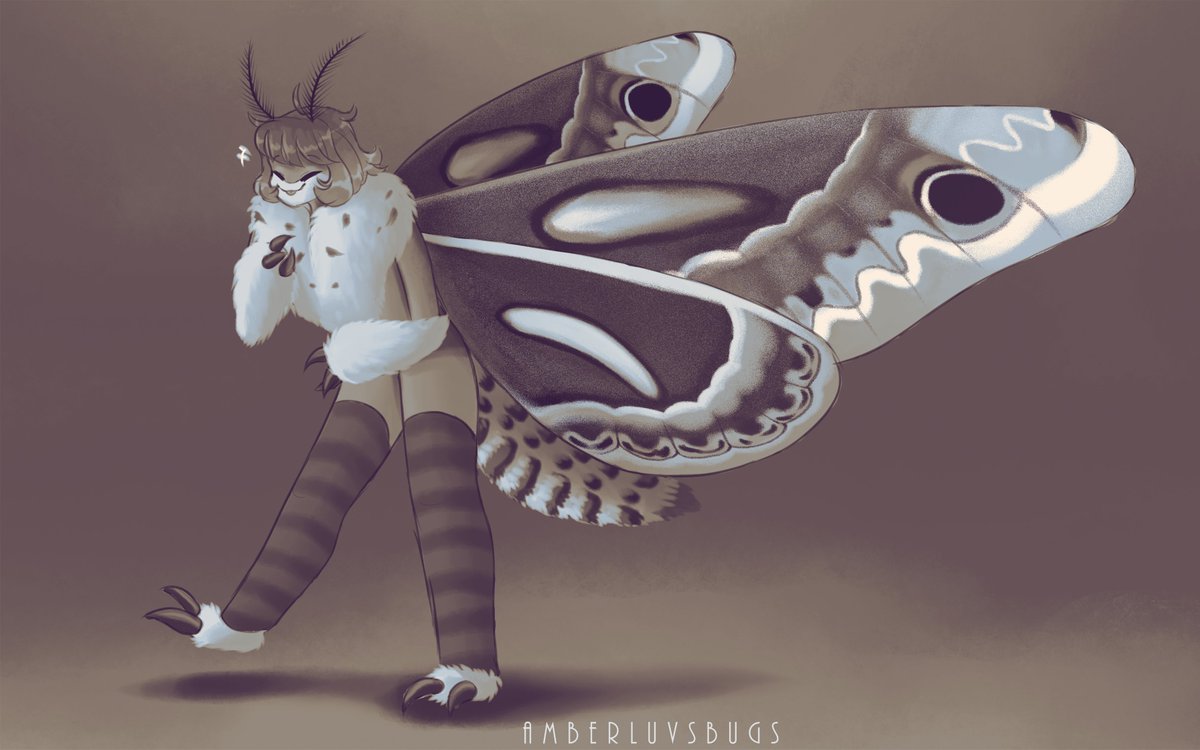 amberluvsbugs's tweet image. Patreon sketches for Infernus
#moth #anthro #cecropiamoth