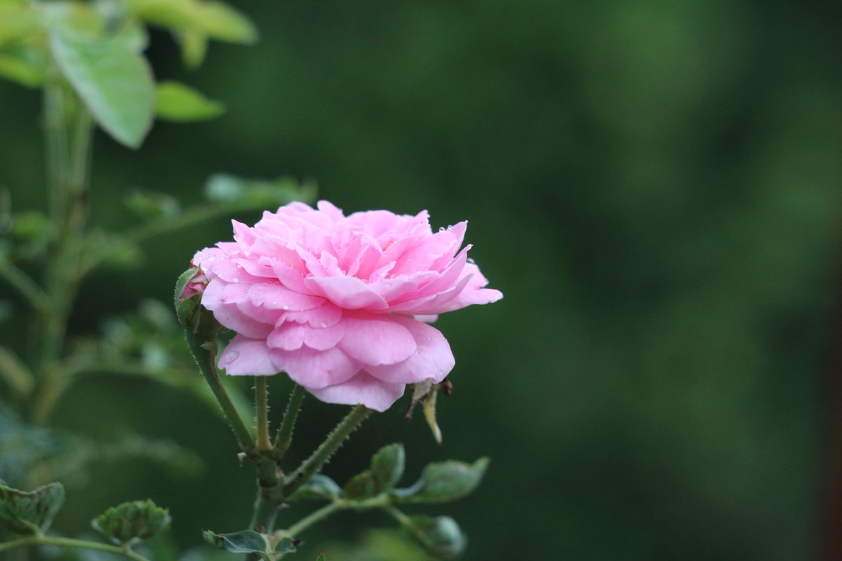 Don't be so busy making a living that you forget to make a life. Slow down and enjoy each day.