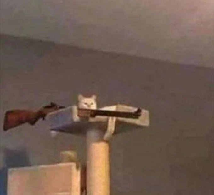 @AlexHol69919808 alright... ʕ&acute;&bull; ᴥ &bull;`ʔ cage time https://t.co/p1lxquNbDN<a class="tags" target="_blank" title="On Twitter" href="/?out=eyJ0eXAiOiJKV1QiLCJhbGciOiJIUzUxMiJ9.eyJpYXQiOjE3MjE0ODcyMTEsImlzcyI6InR3cG9ybnN0YXJzLmNvbSIsIm5iZiI6MTcyMTQ4NzIxMSwiZXhwIjoxNzUzMDIzMjExLCJyZWRpcmVjdF91cmwiOiJodHRwczovL3R3aXR0ZXIuY29tL0FsZXhIb2w2OTkxOTgwOCJ9.iNl2W1DS6rawoKIARY4SvfAVH2qkjRH5iueQ--Zx9AsCMTDyCkXFkktdwHuwBLcFZ_asDy42VHWNls-H9ajUIw">@AlexHol69919808</a><a href="/tag/femboy"class="tags"><span>#femboy</span></a>