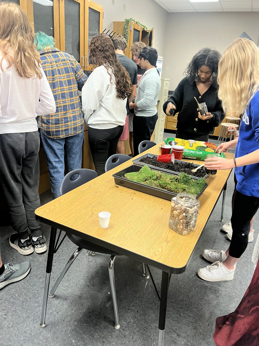 Zaina Hashmi tweet media