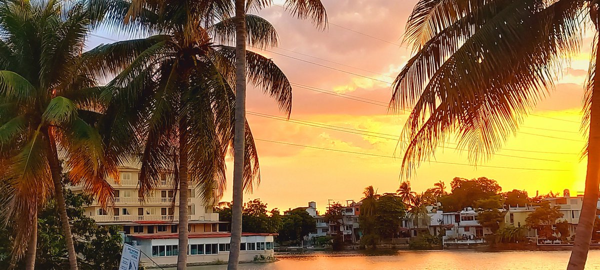 LuviaGraham's tweet photo. ¿Conoces #Villahermosa #Tabasco ❓️
Sabes qué es un #Wellnesshotel❓️
Un wellness hotel 🏨,es un hotel donde puedes conectar con la #naturaleza y,practicar #Mindfulness y,conectar con tú interior. Estamos en frente de la @UJAT .
Conecta con él Graham. 💜 #BEWELLNESS #REBORN https://t.co/oLP79IPrwS