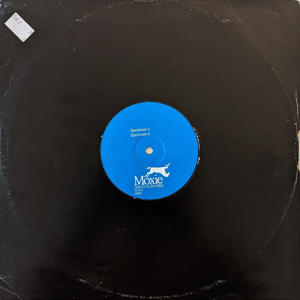 freakdaddyNL's tweet photo. #moxiedisco12inches #c2c4 #specimen #vinyl #collection  random pick #216 https://t.co/dM1rvvbpJa