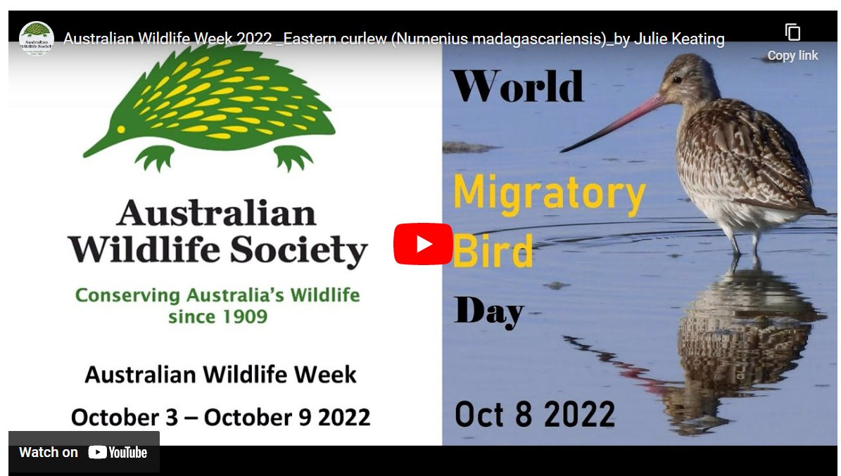 Friends of the Western Ground Parrot tweet media