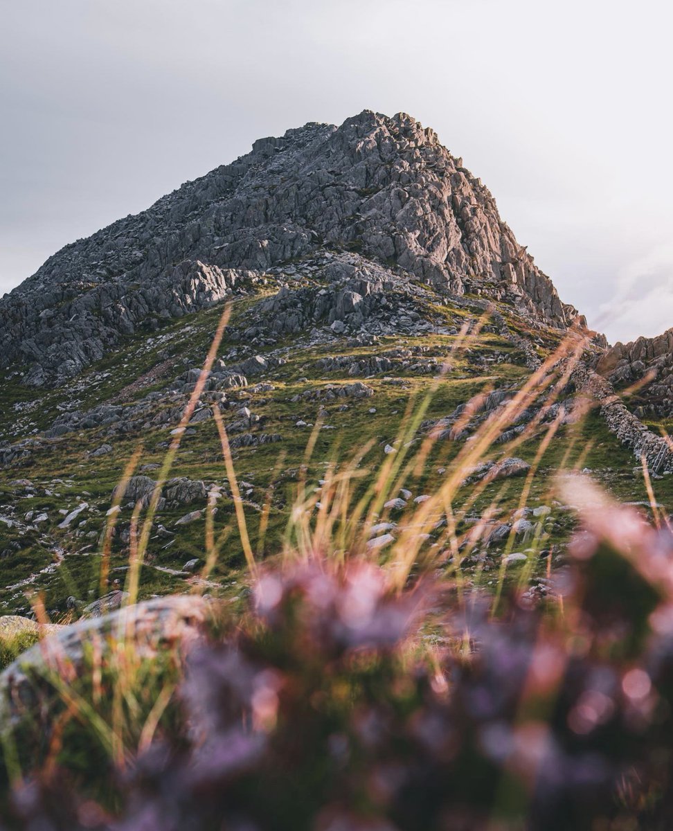 A lovely shot of the mighty Tryfan by @with__heron 🏴󠁧󠁢󠁷󠁬󠁳󠁿 #DiscoverCymru discovercymru.co.uk #snowdonia #tryfan