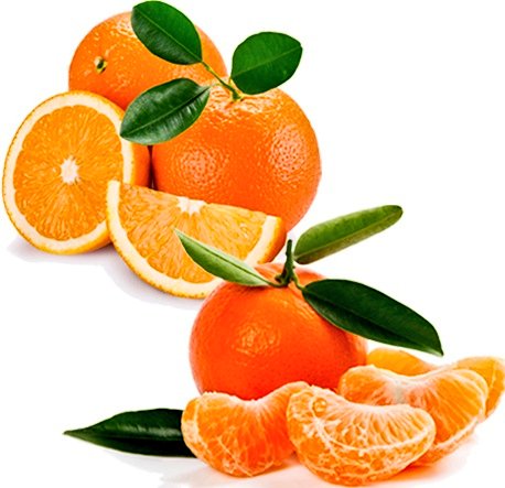 FRUITES DEL MES D'OCTUBRE: aranyó, caqui, codony, gerd, gínjol, llimona, magrana, mandarina, nabiu, pera, poma, pomelo, raïm, taronja.